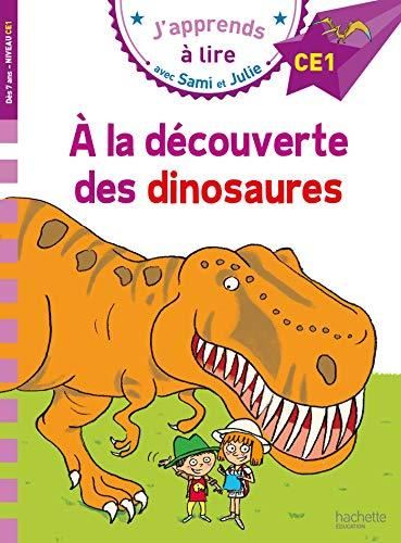 J'apprends à lire avec Sami et Julie : Sami et julie ce1