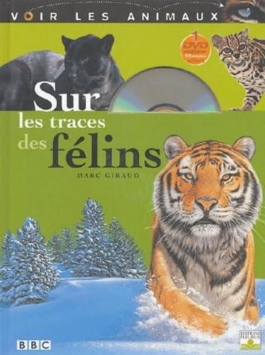 Sur les traces des felins